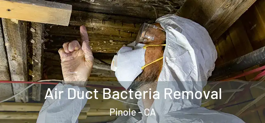  Air Duct Bacteria Removal Pinole - CA