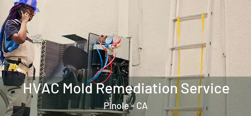  HVAC Mold Remediation Service Pinole - CA
