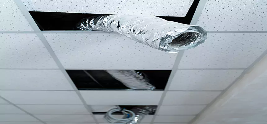 Affordable HVAC Sanitizing After Pest Removal in Pinole