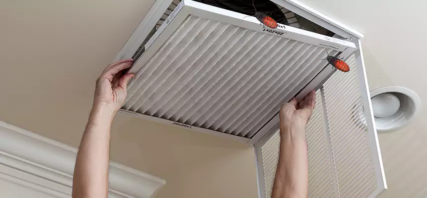 Our Insect Removal from Air Ducts Services in Pinole, CA