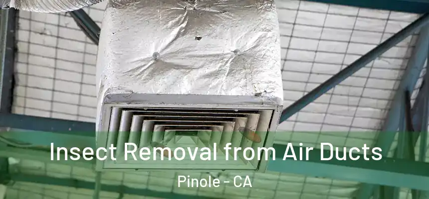  Insect Removal from Air Ducts Pinole - CA