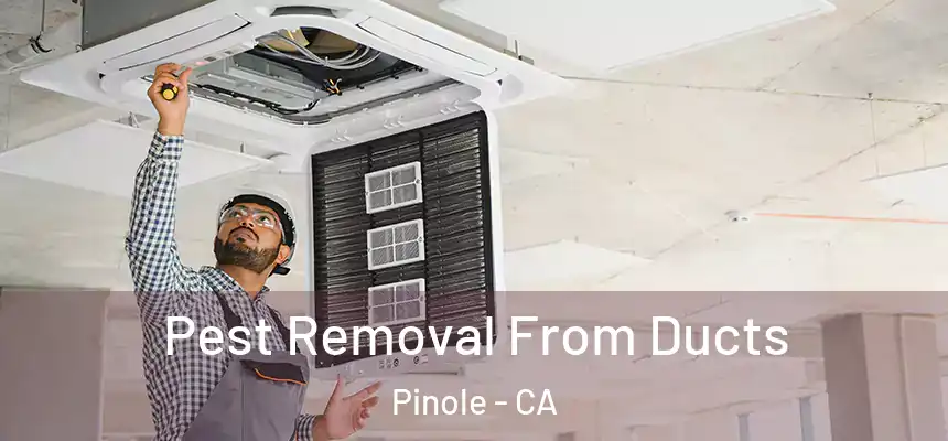  Pest Removal From Ducts Pinole - CA