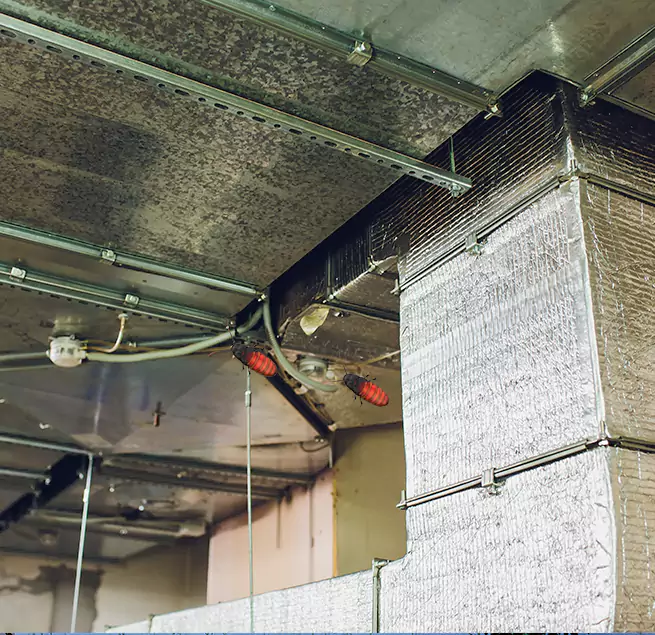 Why Homeowners & Businesses Trust Us in Pinole, CA?