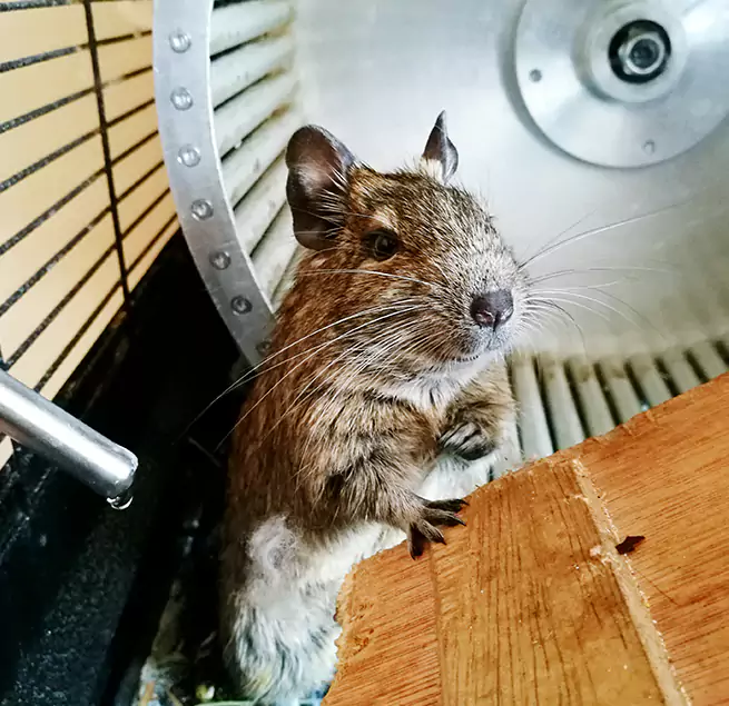 Why Homeowners & Businesses Trust Us Pinole, CA?